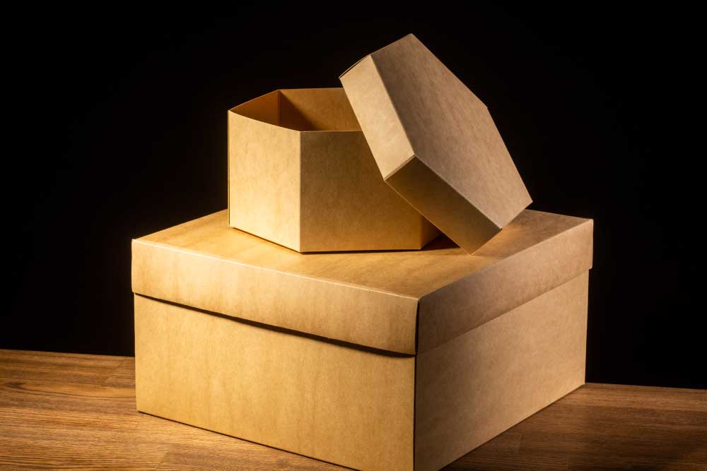 Kartonska-embalaža-po-meri-in-transportne-škatle-3