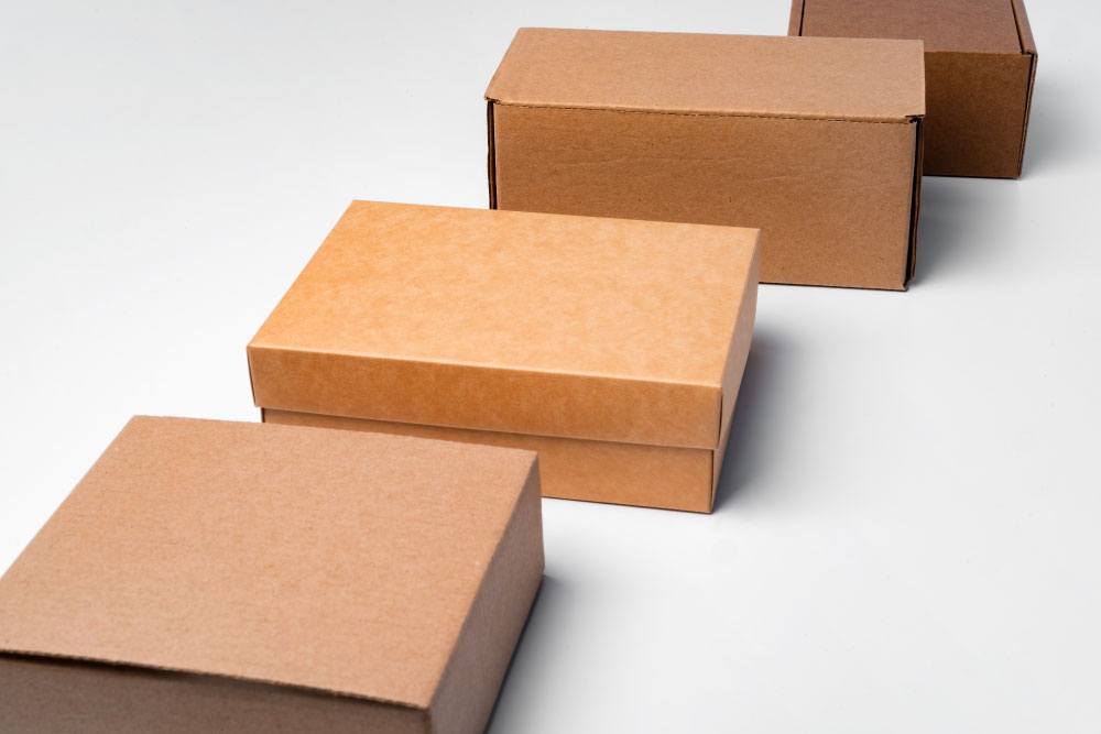 kartonska-škatla-s-pokrovom-1